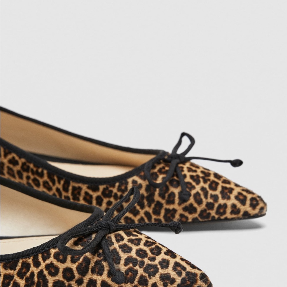 Zara flat - Picture 5 of 6